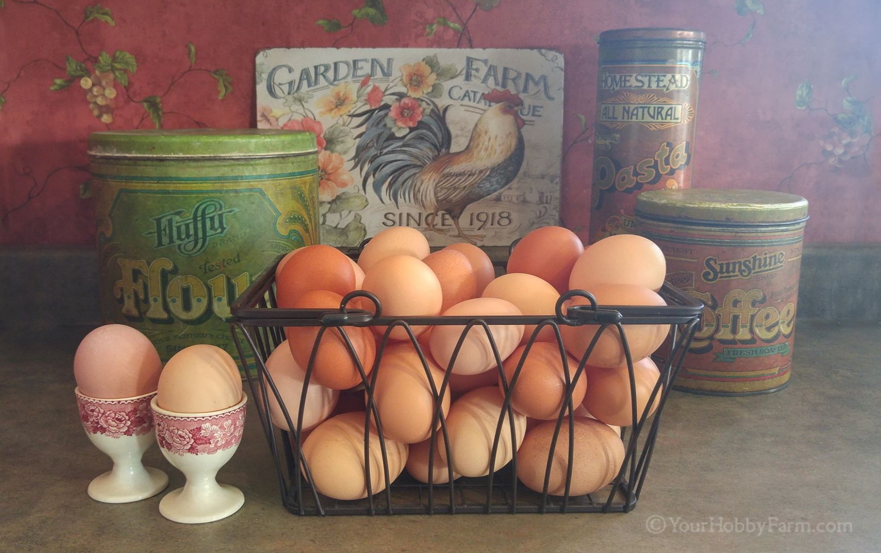 Egg Collection Basket, Fresh Egg Basket, Egg Collecting
